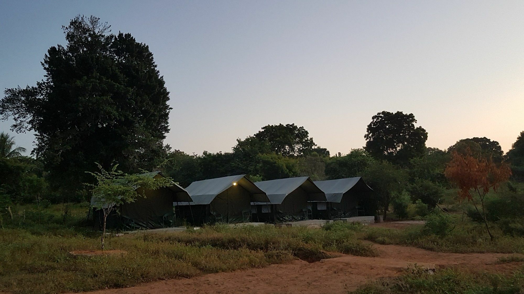 Wild Panthera Yala Tissamaharama Exterior photo